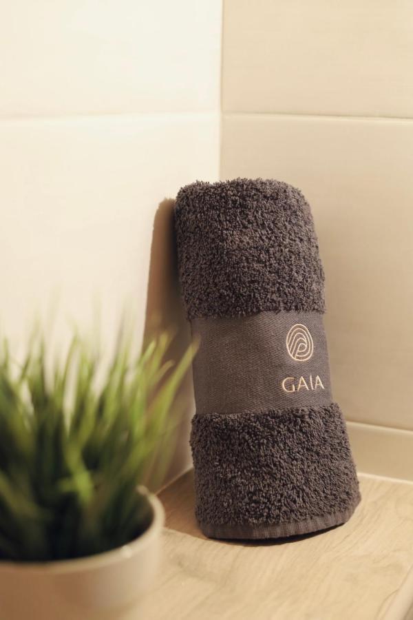 Apartment House Gaia *